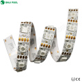 Tira LED de 12V RGB ADDRESSABLE (GS8208) WHITE / BLACK PCB - 30/60/144 PIXEL POR MEDIDOR - 5M REEL